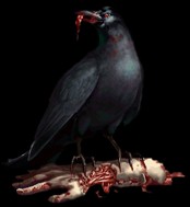Crow