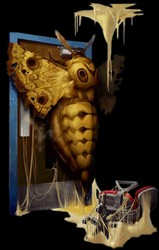 Moth
