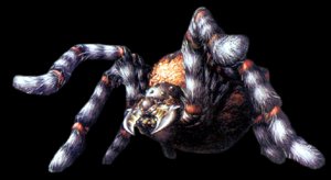 Spider